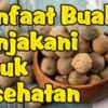 6 Manfaat Buah Manjakani