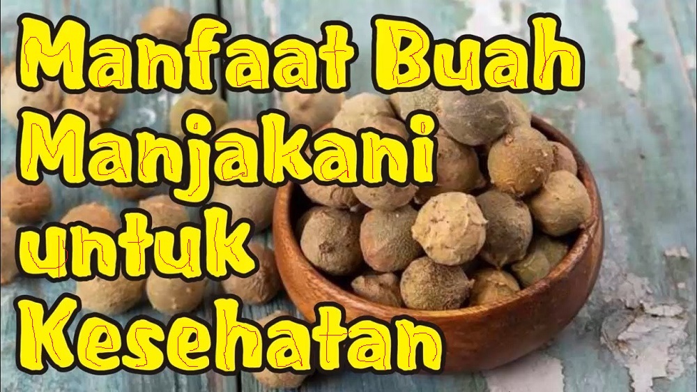 6 Manfaat Buah Manjakani