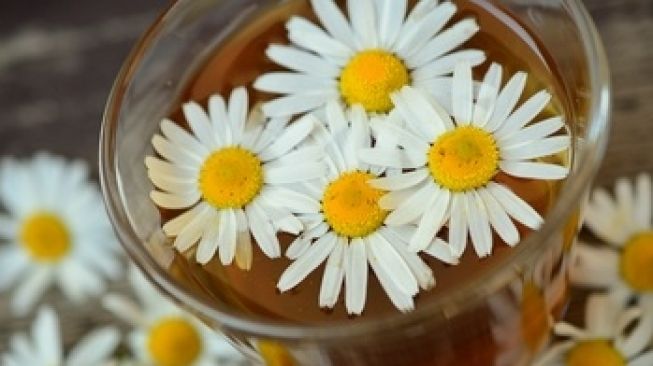 Chamomile