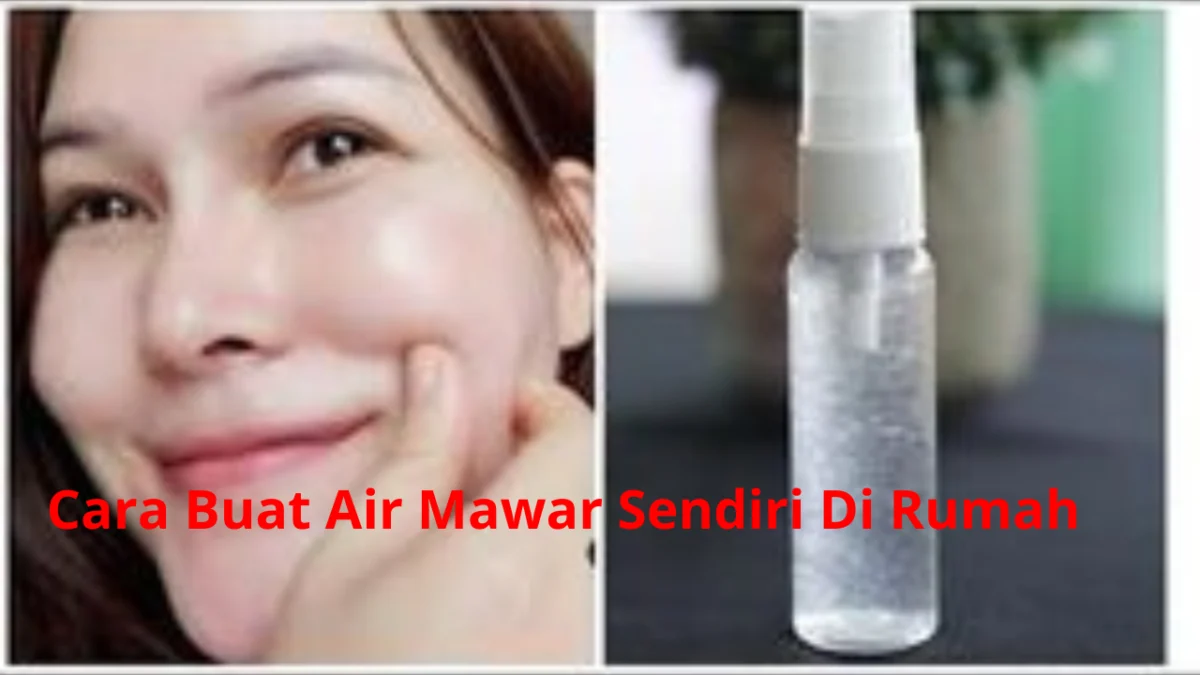 Cara bikin air mawar alami.