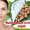 Manfaat daun sirih untuk wajah.