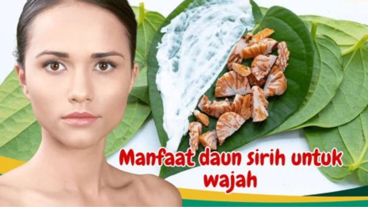 Manfaat daun sirih untuk wajah.