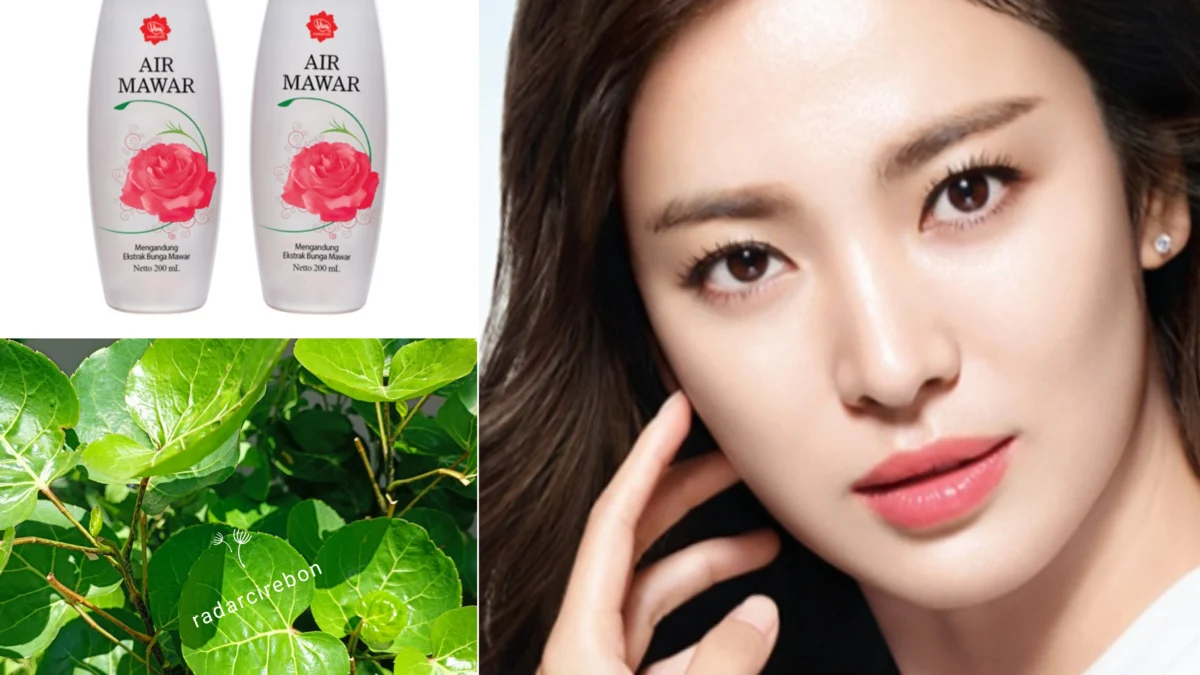 Cara Ampuh Membuat Wajah Kencang, Putih Cerah Ala Korean Look dengan Toner Daun Mangkokan dan Air Mawar Viva. Bebas Flek Hitam dan Glowing Dalam 1 Minggu Ada Disini!