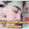 5 Langkah Mudah Memutihkan Kulit Wajah Dengan Air Mawar dan Fair N Lovely