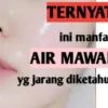 Langkah Mudah Bikin Wajah Jadi Putih Glowing dan Bebas Noda Hitam Pakai Serum Air Mawar