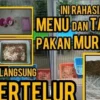 cara ternak murai batu agar cepat bertelur