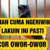 cara mengatasi murai batu ngeriwik