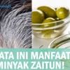 cara menghitamkan rambut dengan minyak zaitun