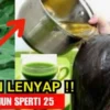 daun pepaya untuk atasi uban