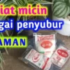 efek micin untuk tanaman