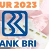 kur bri 2023