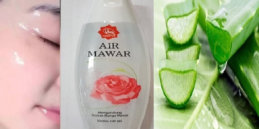 Buat Tampilan Wajah Kamu Jadi Awet Muda dan Glowing, Inilah 5 Tips Menggunakan Lidah Buaya dan Air Mawar Yang Tepat Untuk Wajah lidah buaya dan air mawar
