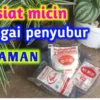 manfaat micin untuk tanaman hias