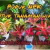 manfaat pupuk npk untuk tanaman hias