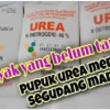 manfaat pupuk urea untuk tanaman hias