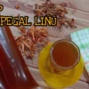 resep jamu pegal linu yang enak buat badan kalian