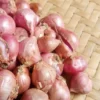 Bawang Merah