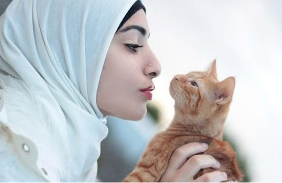 Manfaat Memelihara Kucing menurut Islam