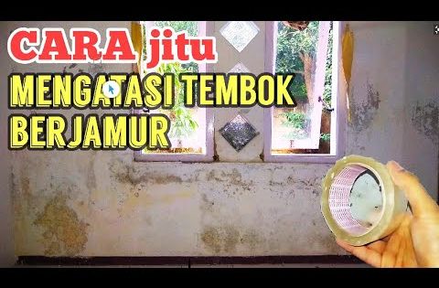 cara mengatasi tembok lembab dan berjamur