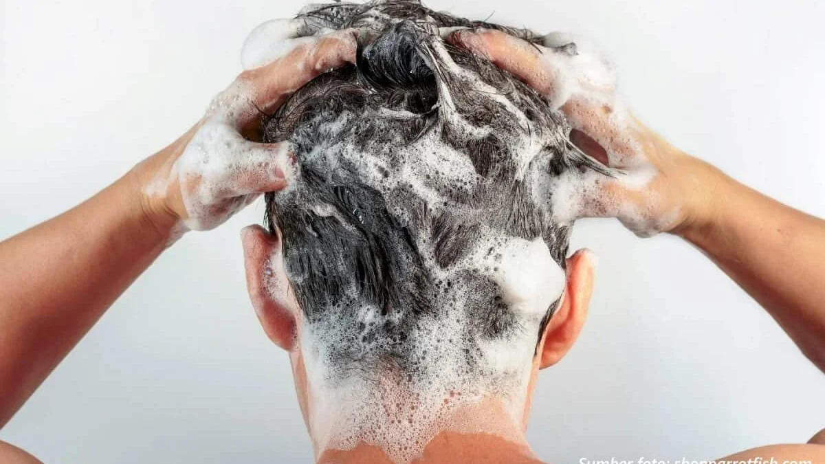 Langkah-langkah keramas yang benar agar rambut jadi sehat