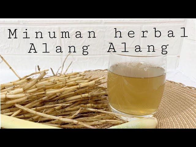 resep buat jamu alang alang