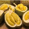 Makanan yang Harus Dihindari Setelah Makan Durian