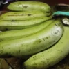 Pisang yang Boleh Dikonsumsi Penderita Diabetes