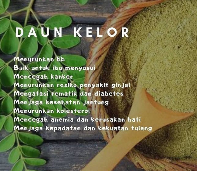 Manfaat daun kelor