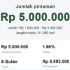 Pinjaman Online