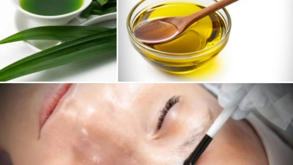 Cara Meracik Masker Minyak Zaitun Plus Daun Pandan Untuk Wajah