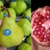 Inilah 5 Buah yang Aman untuk Penderita Diabetes