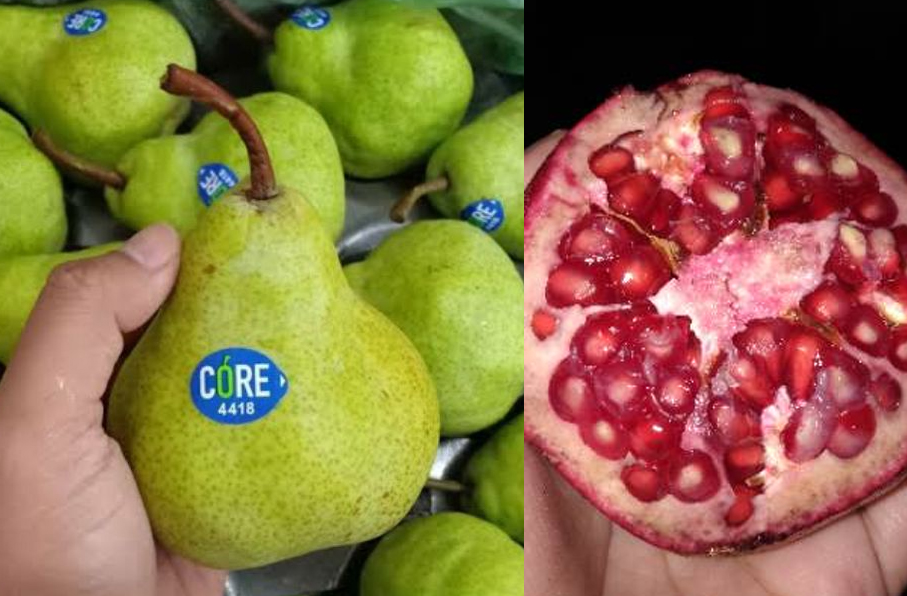 Inilah 5 Buah yang Aman untuk Penderita Diabetes