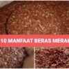 Manfaat beras merah untuk kesehatan tubuh