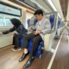 Fungsi colokan listrik di kereta untuk mengisi baterai handphone