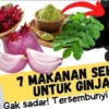 makanan yang dapat memperbaiki fungsi ginjal