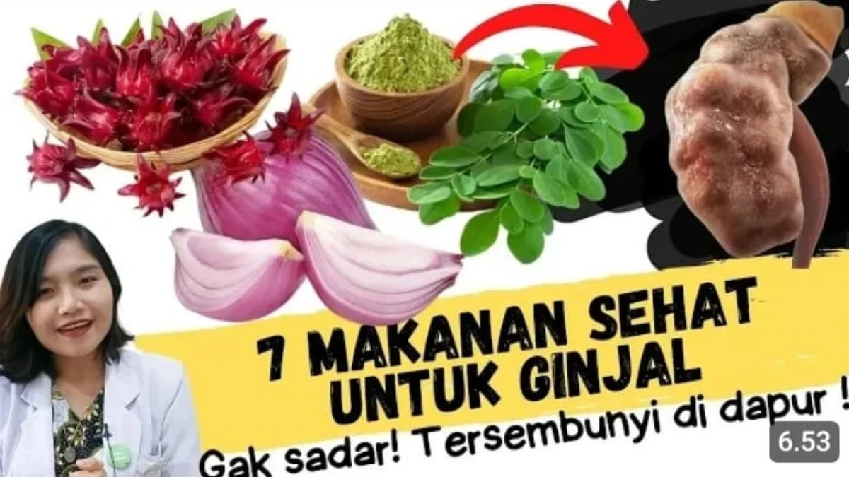 makanan yang dapat memperbaiki fungsi ginjal