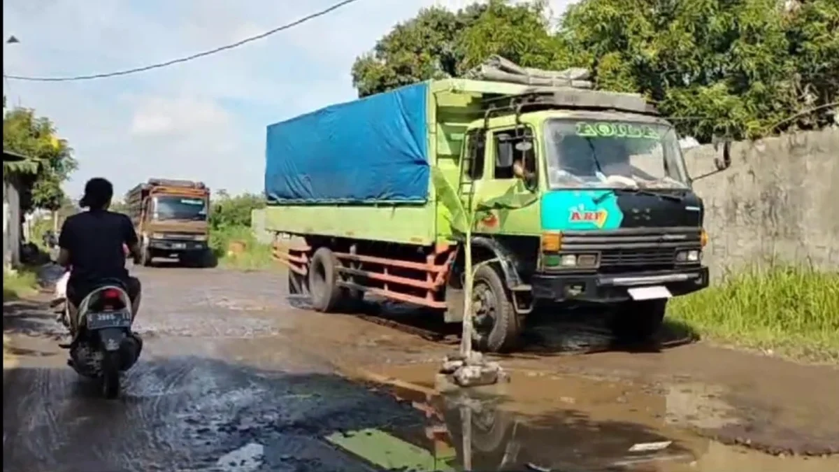 TANAM POHON PISANG