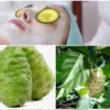 Cara membuat masker buah mengkudu