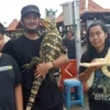 Warga atau pengunjung yang sedang ngabuburit diperbolehkan menyentuh hewan di objek wisata J & J Cilimus Kunin