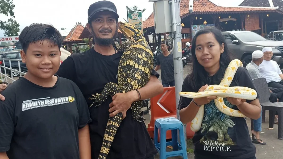 Warga atau pengunjung yang sedang ngabuburit diperbolehkan menyentuh hewan di objek wisata J & J Cilimus Kunin