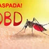 Waspada! Kasus DBD Terus Mengalami Kenaikan