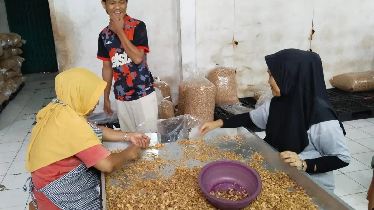 Akibat Harga Bawang Merah Naik, Pengusaha Bawang Goreng Stop Produksi