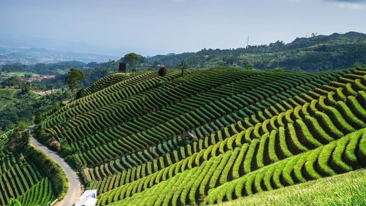 perkiraan cuaca majalengka