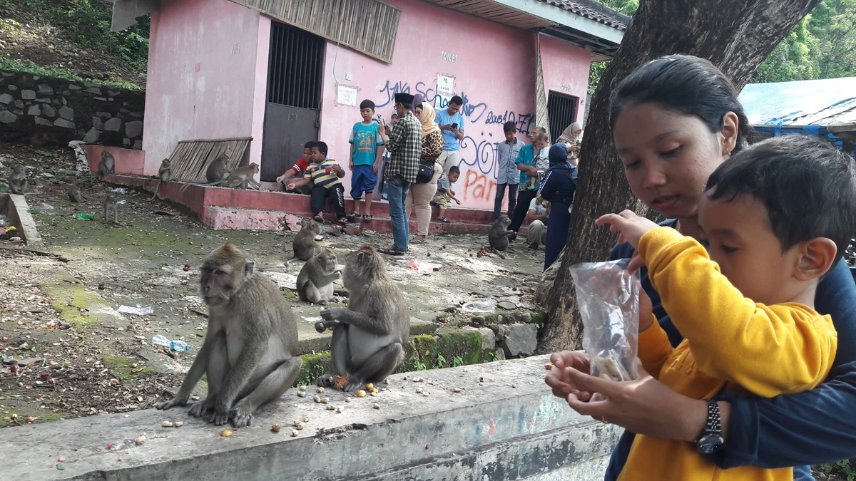 Kawasan Plangon Kabupaten Cirebon