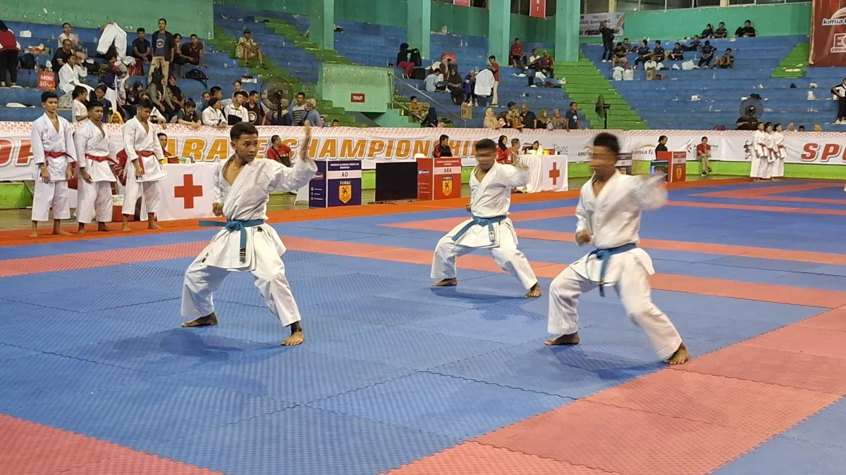 Kejuaraan karate