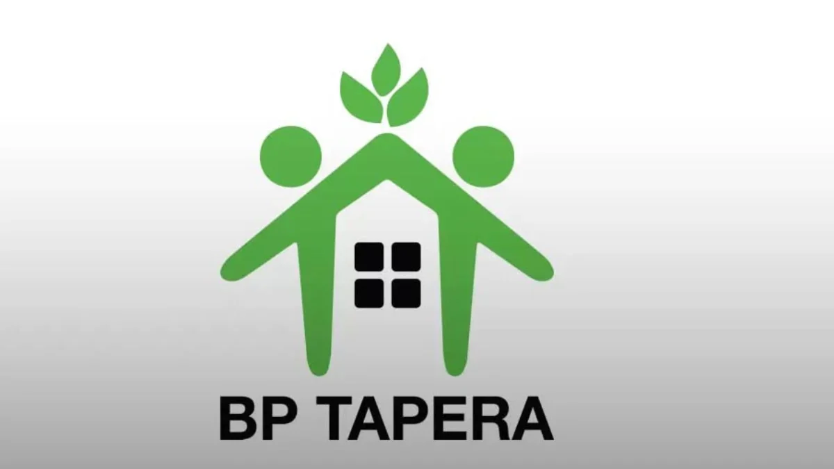 Tapera