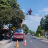 Petugas Dinas Perhubungan Kabupaten Cirebon sedang memperbaiki lampu PJU di Wilayah Plumbon.