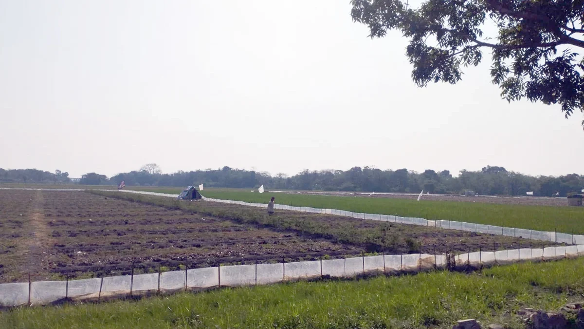 Areal sawah di Desa Danamulya Kecamatan Plumbon mulai retak-retak