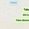 Inilah Beberapa Cara agar tulisan di Whatsapp terlihat Unik dan Menarik