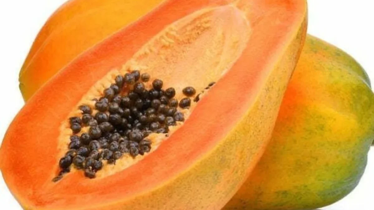 Segarkan Kulitmu dengan Masker Pepaya: Tips Praktis untuk Wajah Cerah Segarkan Kulitmu dengan Masker Pepaya: Tips Praktis untuk Wajah Cerah